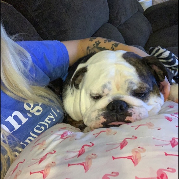 Meet your Posher, Courtney - Picture 1 of 2